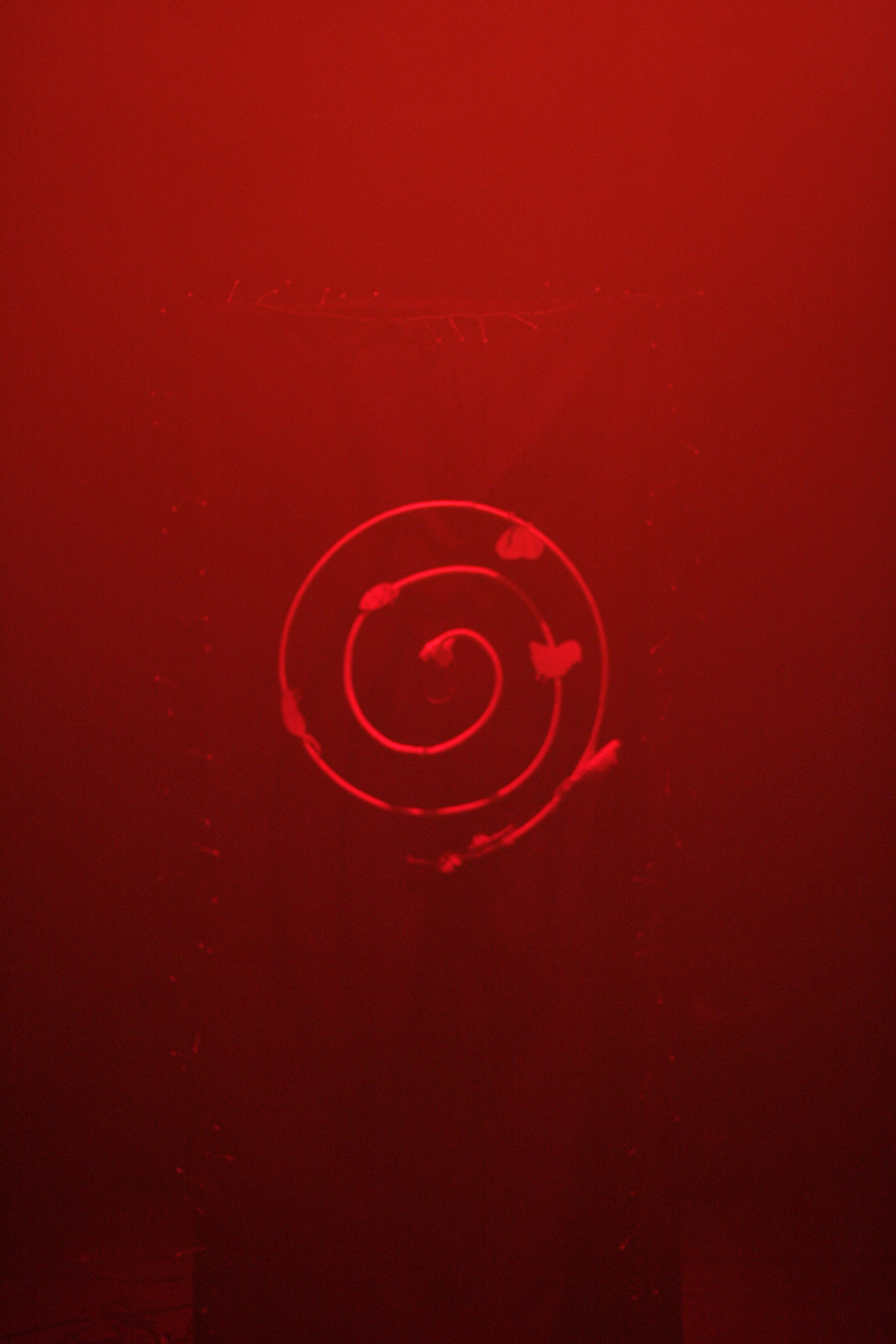 abracadabra / 2009 - blank - Abracadabra / 2009